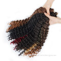 High Quality Freetress Synthetic Water Deep Wave Loop Braiding Hair Long Deep Curly Bulk Hair Crochet Braid